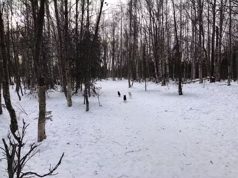 Connors Bog Park - Anchorage, AK