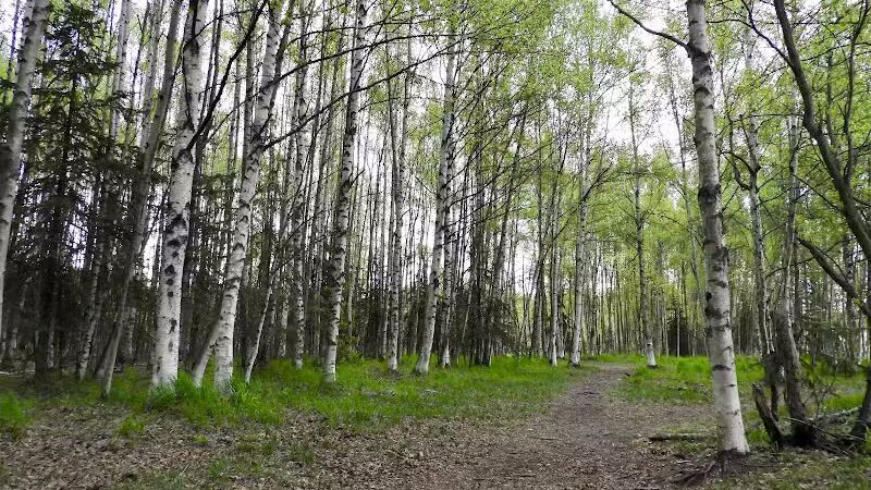 Connors Bog Park - Anchorage, AK