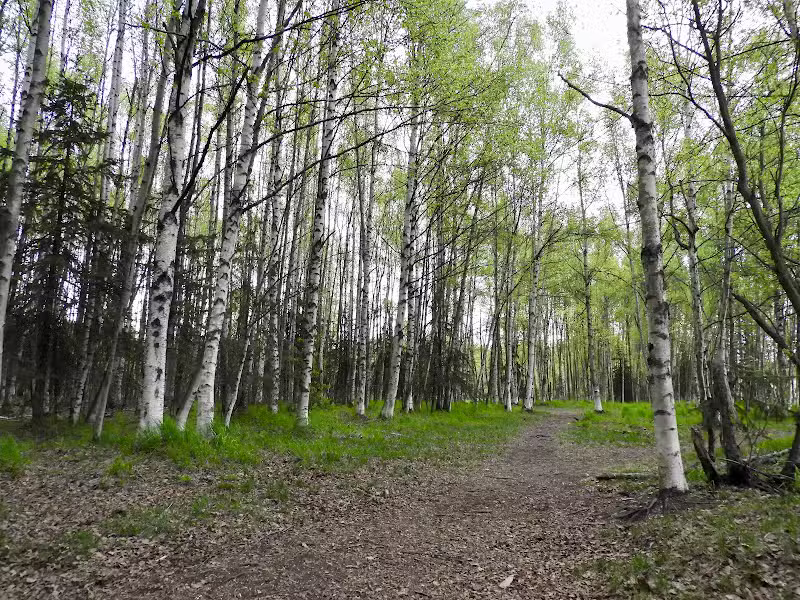 Connors Bog Park - Anchorage, AK