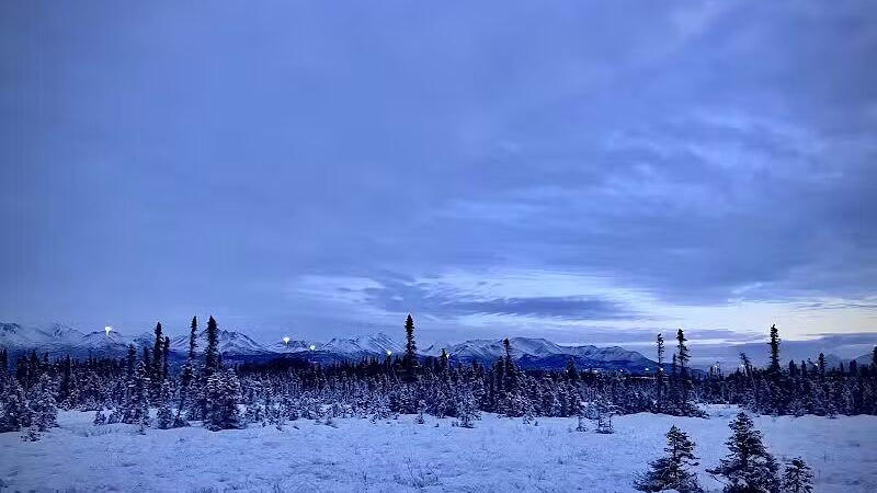 Connors Bog Park - Anchorage, AK