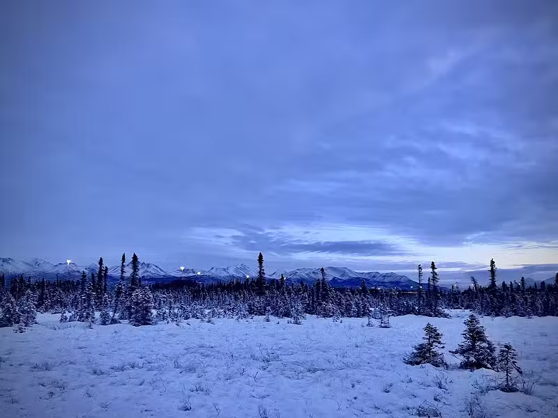 Connors Bog Park - Anchorage, AK