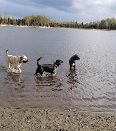 Connors Bog Park - Anchorage, AK