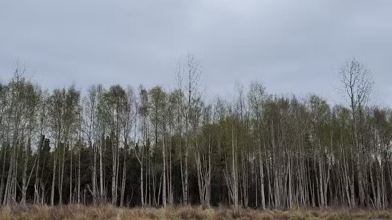 Connors Bog Park - Anchorage, AK