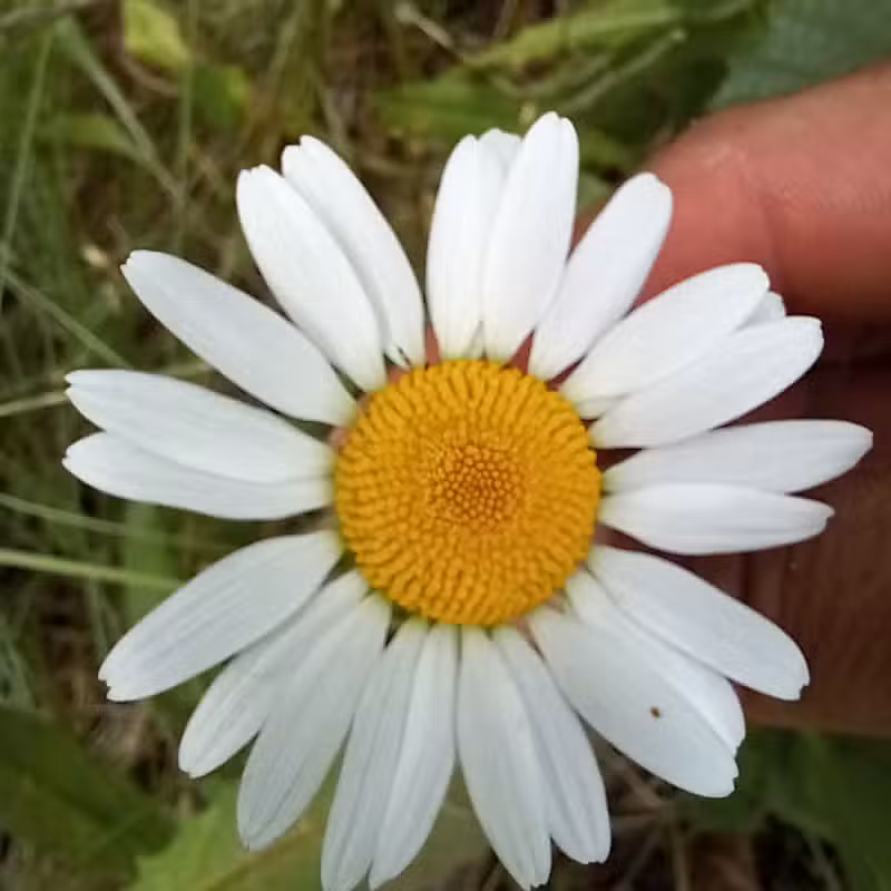 Connors Bog Park - Anchorage, AK