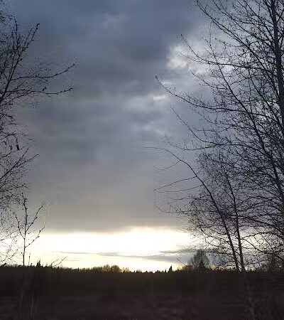 Connors Bog Park - Anchorage, AK