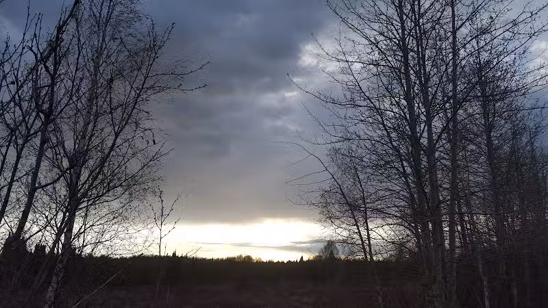 Connors Bog Park - Anchorage, AK