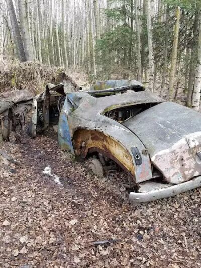 Connors Bog Park - Anchorage, AK