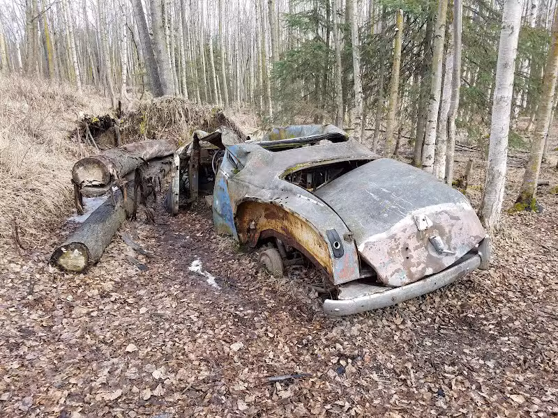 Connors Bog Park - Anchorage, AK