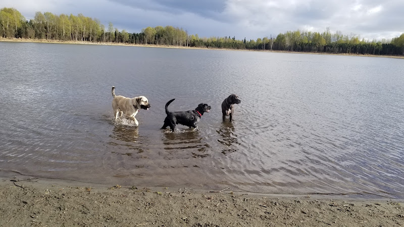 Connors Bog Park - Anchorage, AK