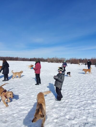 South Anchorage Dog Park - Anchorage, AK