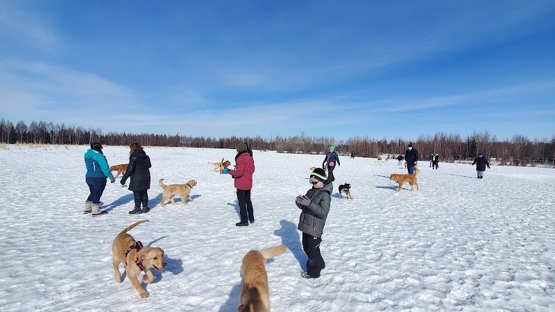 South Anchorage Dog Park - Anchorage, AK