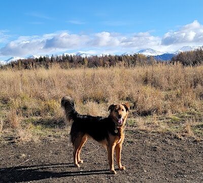 South Anchorage Dog Park - Anchorage, AK