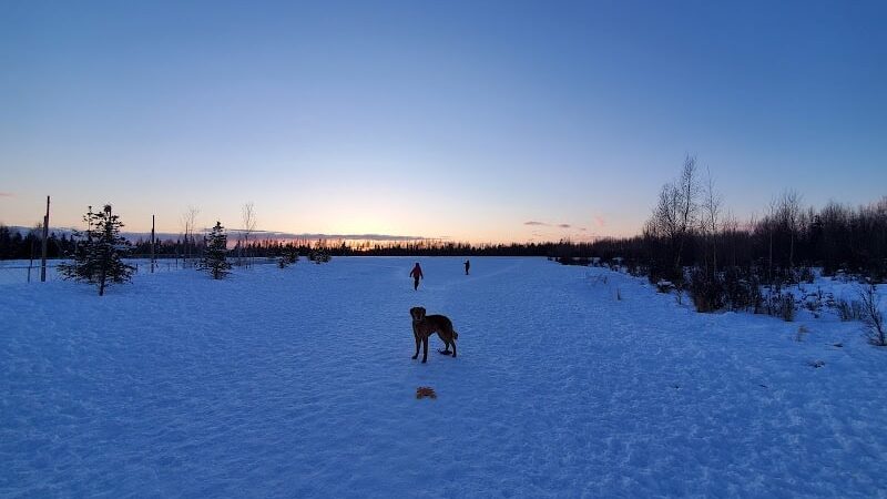 South Anchorage Dog Park - Anchorage, AK