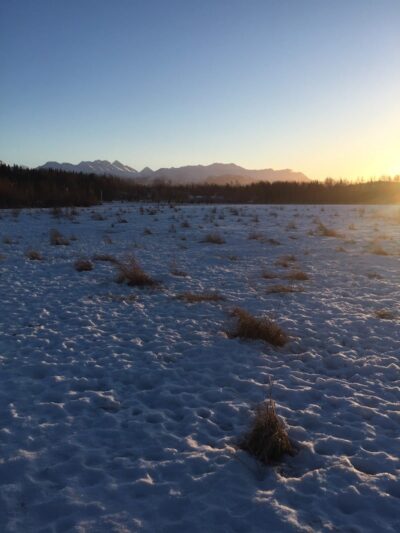 South Anchorage Dog Park - Anchorage, AK