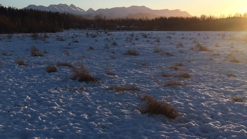 South Anchorage Dog Park - Anchorage, AK