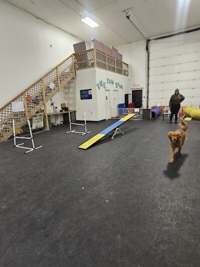 The Paw Room - Anchorage, AK