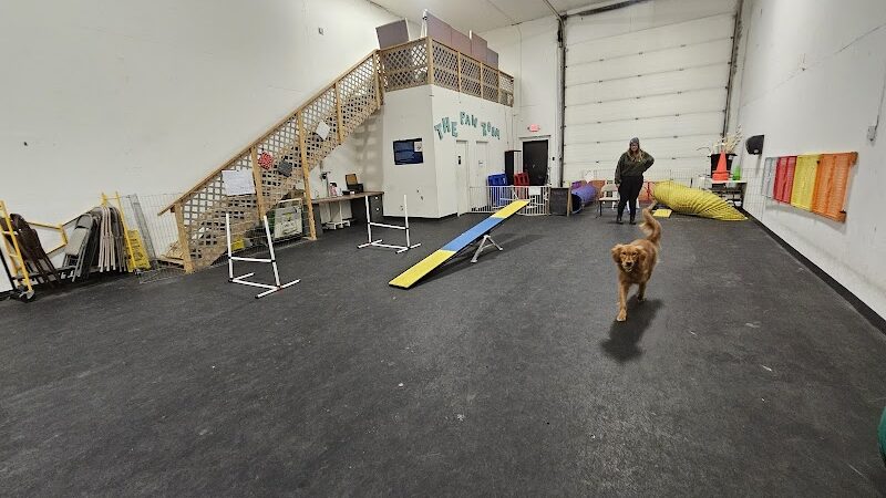 The Paw Room - Anchorage, AK