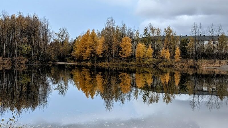University Lake Park - Anchorage, AK