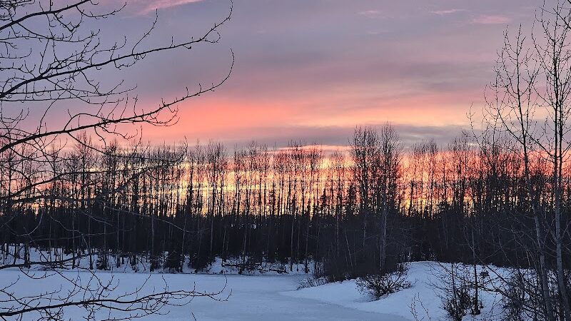 University Lake Park - Anchorage, AK