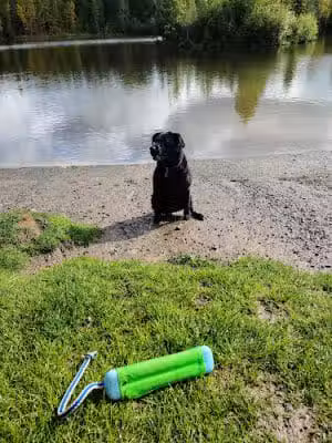 University Lake Park - Anchorage, AK