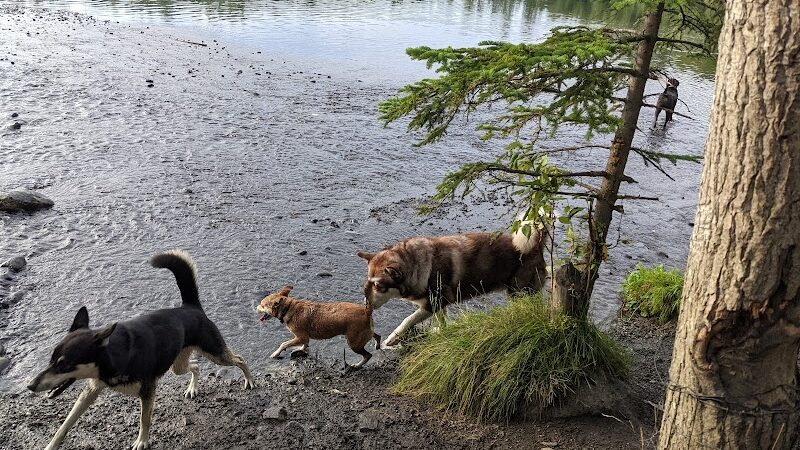 University Lake Park - Anchorage, AK
