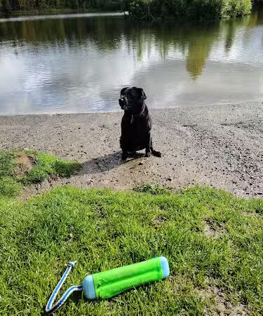University Lake Park - Anchorage, AK