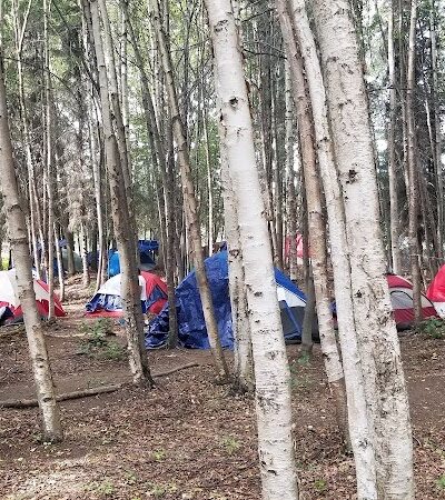 Valley of the Moon Dog Park - Anchorage, AK