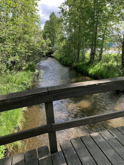 Valley of the Moon Dog Park - Anchorage, AK