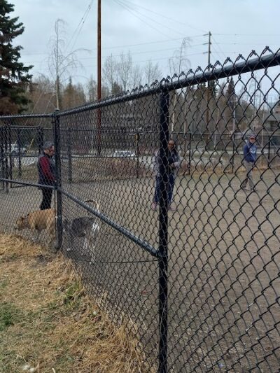 Valley of the Moon Dog Park - Anchorage, AK