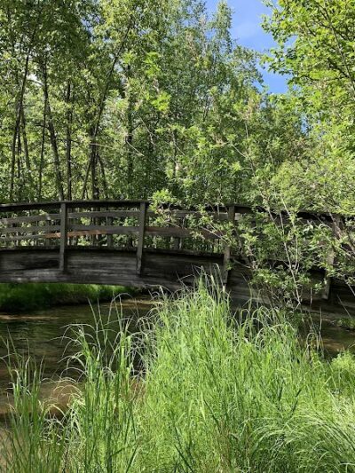 Valley of the Moon Dog Park - Anchorage, AK