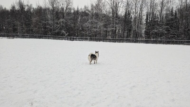 Valley of the Moon Dog Park - Anchorage, AK