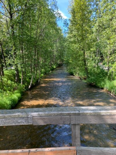 Valley of the Moon Dog Park - Anchorage, AK