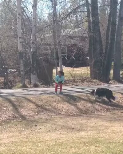 Valley of the Moon Dog Park - Anchorage, AK