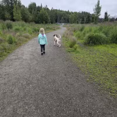 South Anchorage Dog Park - Anchorage, AK
