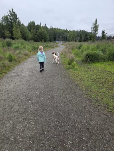 South Anchorage Dog Park - Anchorage, AK