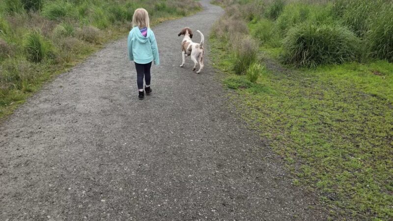 South Anchorage Dog Park - Anchorage, AK