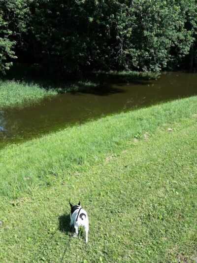 Andalusia Lions Club Park - Andalusia, IL
