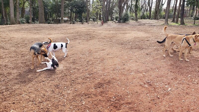 The Dog Park - Anderson, SC