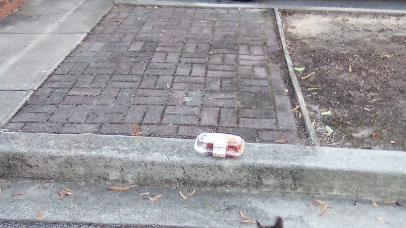 The Dog Park - Anderson, SC