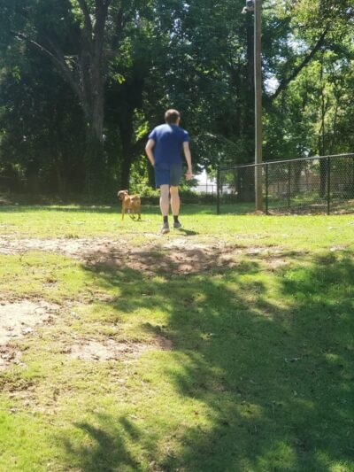 The Dog Park - Anderson, SC