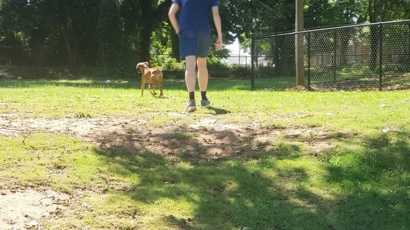 The Dog Park - Anderson, SC