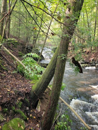 Hop River Trail - Andover, CT