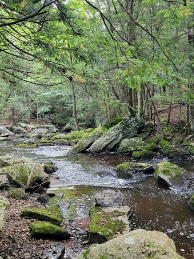 Hop River Trail - Andover, CT