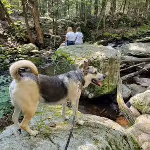 Hop River Trail - Andover, CT