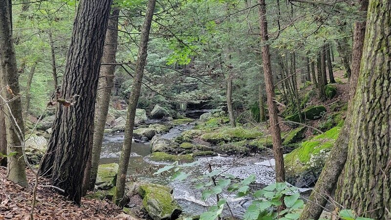 Hop River Trail - Andover, CT