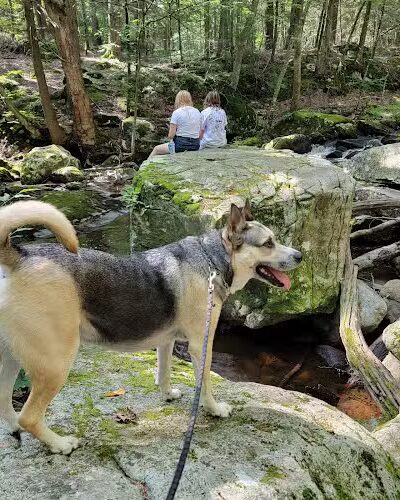 Hop River Trail - Andover, CT