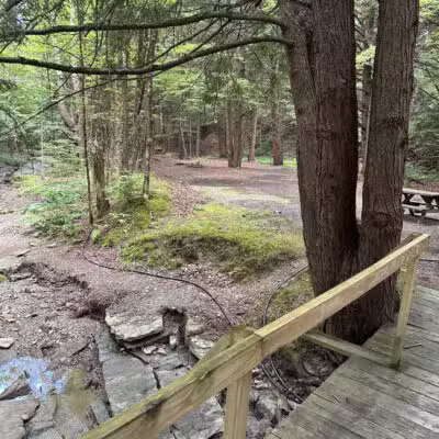 Evergreen Trails Campgrounds - Angelica, NY