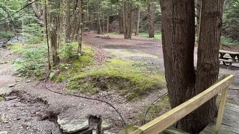 Evergreen Trails Campgrounds - Angelica, NY