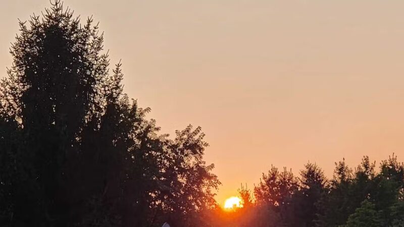 Jones Pond Mens Only Campground & RV Park - Angelica, NY