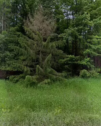 Abbe-Freeland Animal Sanctuary - Angelica, NY